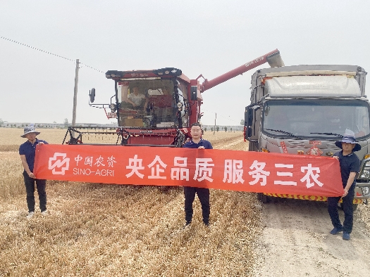 三夏大忙助豐收系列1:田間助農,顆粒盡收